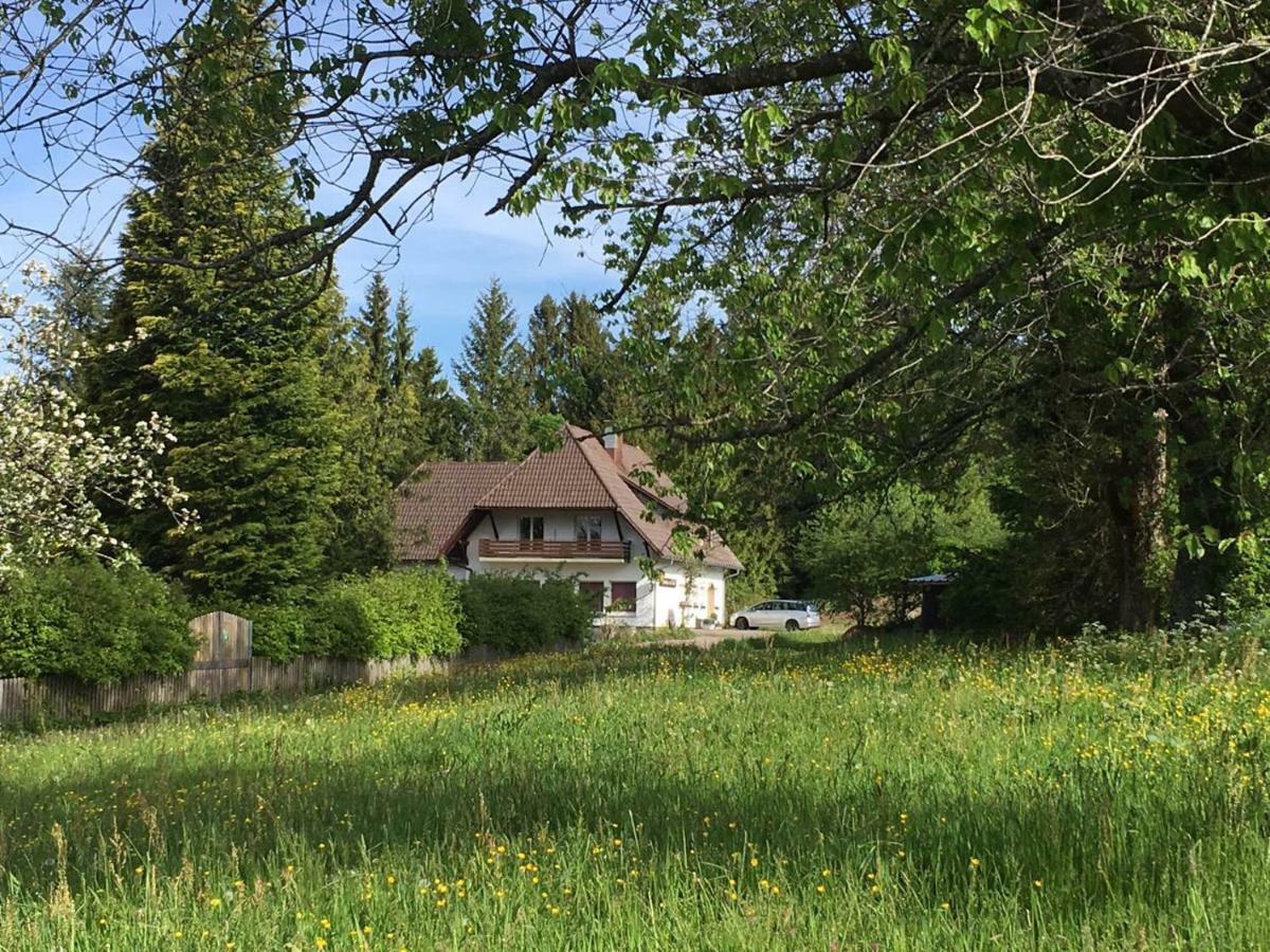 B & B Der Waldvogel Herrischried Eksteriør billede